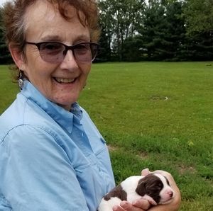 Meet your Posher, Nancy